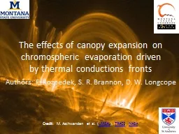 The effects of canopy expansion on