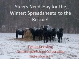 Steers Need Hay for the Winter: Spreadsheets to the Rescue!