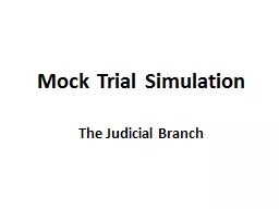 Mock Trial Simulation
