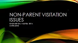 Non-parent visitation issues