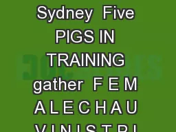 FEMALE CHAUVINIST PIGS Free Press New York London Toronto Sydney  Five PIGS IN TRAINING
