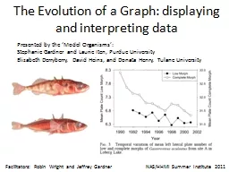 The Evolution of a Graph: displaying and interpreting data