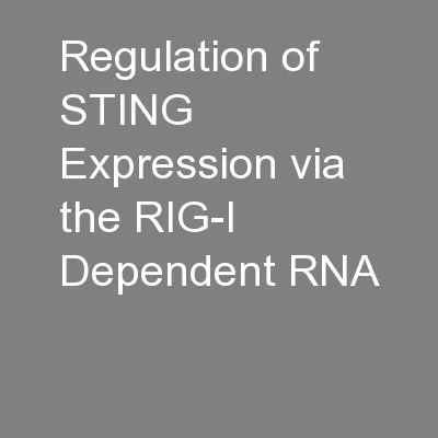 Regulation of STING Expression via the RIG-I Dependent RNA