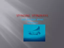Stinging Stingrays