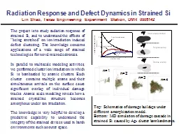 Radiation Response and Defect Dynamics in Strained Si