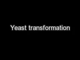 Yeast transformation