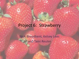 Project 6:  Strawberry