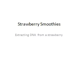 Strawberry Smoothies