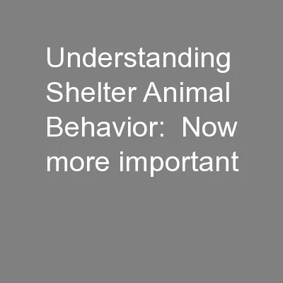 Understanding Shelter Animal Behavior:  Now more important