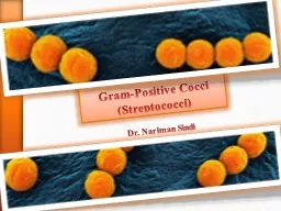 Gram-Positive Cocci (Streptococci)