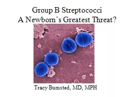 Group B Streptococci