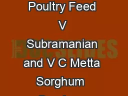 Sorghum Grain for Poultry Feed V Subramanian and V C Metta Sorghum  Sorghum bicolor L