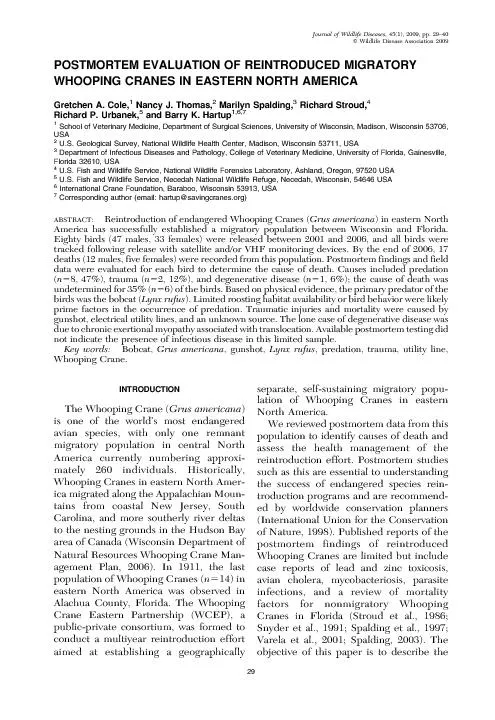 Theprimarycauseofmortalityin