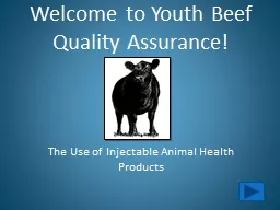 Welcome to Youth Beef Quality Assurance!