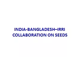 INDIA-BANGLADESH–IRRI