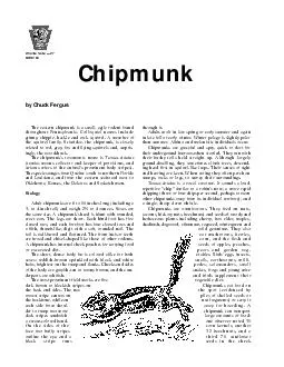 Wildlife Note   LDR by Chuck Fergus Chipmunk The eastern chipmunk is a small agile rodent