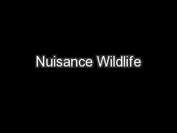 Nuisance Wildlife