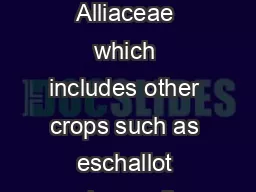 Introduction Chive is a member of the Allium family Alliaceae which includes other crops such as eschallot onion garlic leek and bunching onion