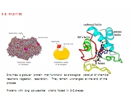 3.6: ENZYMES