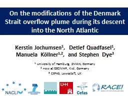 On the modifications of the Denmark Strait overflow plume d
