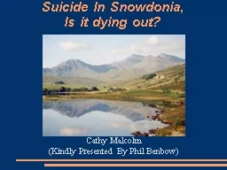 Suicide In Snowdonia,