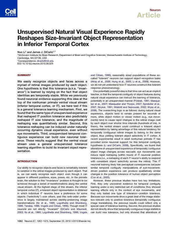 PDF-ArticleUnsupervisedNaturalVisualExperienceRapidlyReshapesSize-Invarian thumbnail
