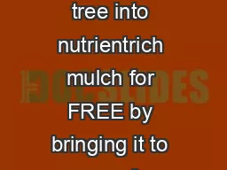 After the holidays recycle your Christmas tree into nutrientrich mulch for FREE by bringing