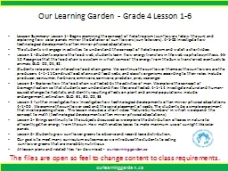 Our Learning Garden  - Grade 4