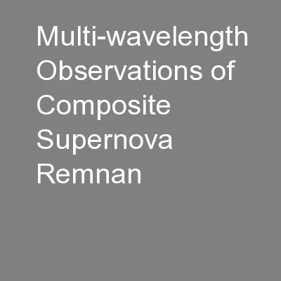 Multi-wavelength Observations of Composite Supernova Remnan