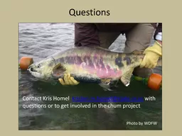 Chum Salmon Recovery in Oregon tributaries to the Lower Columbia River Kris Homel Erik