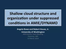Shallow cloud structure and organization under suppressed c