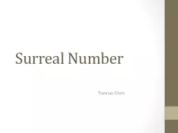 Surreal Number
