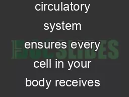 What is the circulatory system Your circulatory system ensures every cell in your body