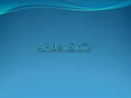 AP de TS n°2