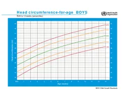 WHO Child Growth Standards Head circumferenceforage BOYS Birth to  wee