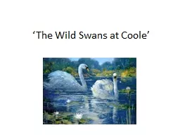‘The Wild Swans at