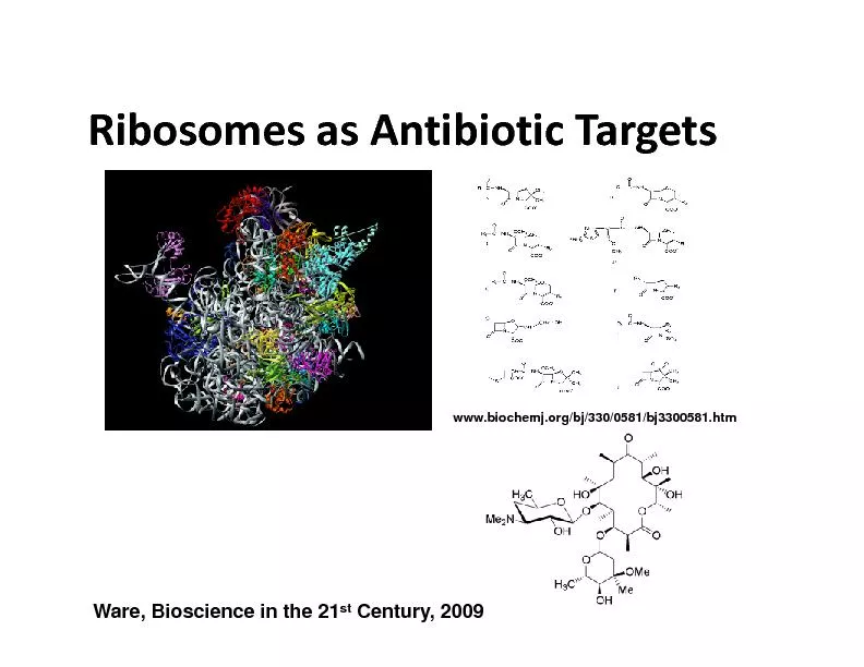 AntibioticTargets