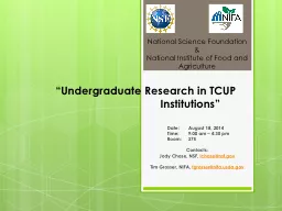 “Undergraduate Research in