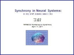Synchrony in Neural Systems: