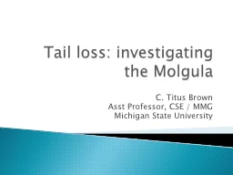 Tail loss: investigating the