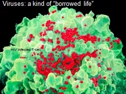 Viruses: a kind of “borrowed life”