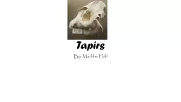 Tapirs