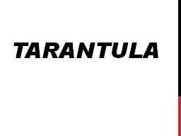 TARANTULA