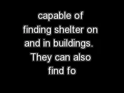 capable of finding shelter on and in buildings.  They can also find fo