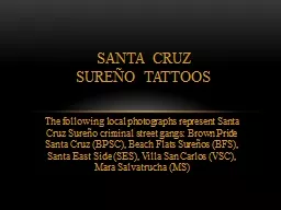 The following local photographs represent Santa Cruz