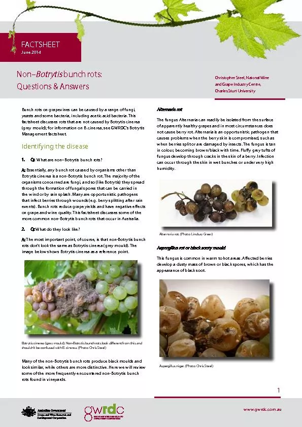 Botrytis bunch rots: Questions & AnswersChristopher Steel, Natonal Win