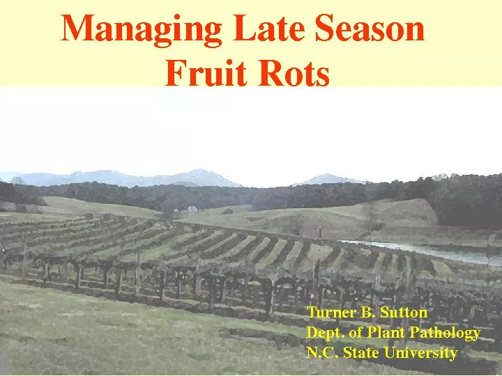 Managing Late Season Fruit RotsTurner B. SuttonDept. of Plant Patholog