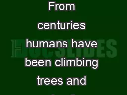 ree climber  ABSTRACT From centuries humans have been climbing trees and poles for various