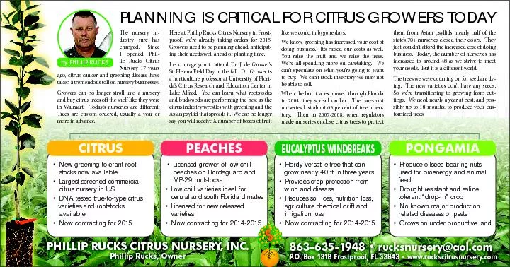 PLANNING IS CRITICAL FOR CITRUS GROWERS TODAY