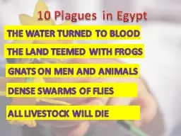 10 Plagues in Egypt